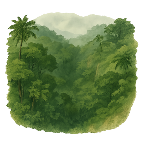 File:Deep Jungle.png