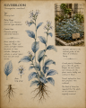 Thumbnail for version as of 08:06, 16 July 2026