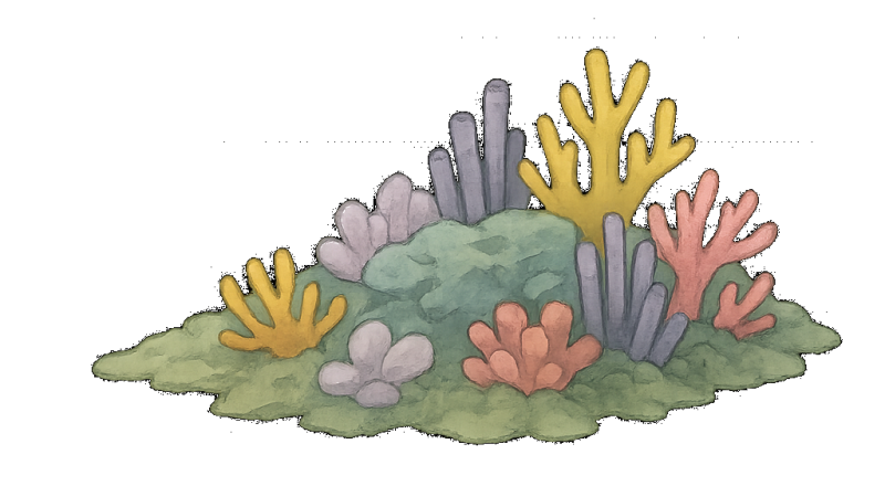 File:Kaleido Reef.png